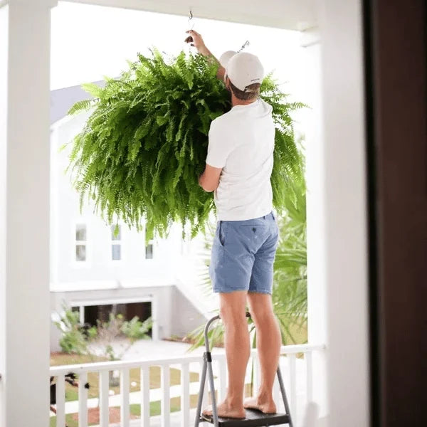 💥This Week's Special Price $19.99🌱Resistant Lifelike Artificial Boston Fern