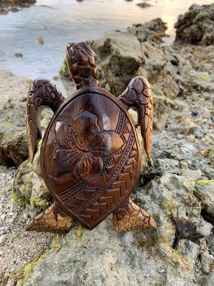 Hawaiian Turtle