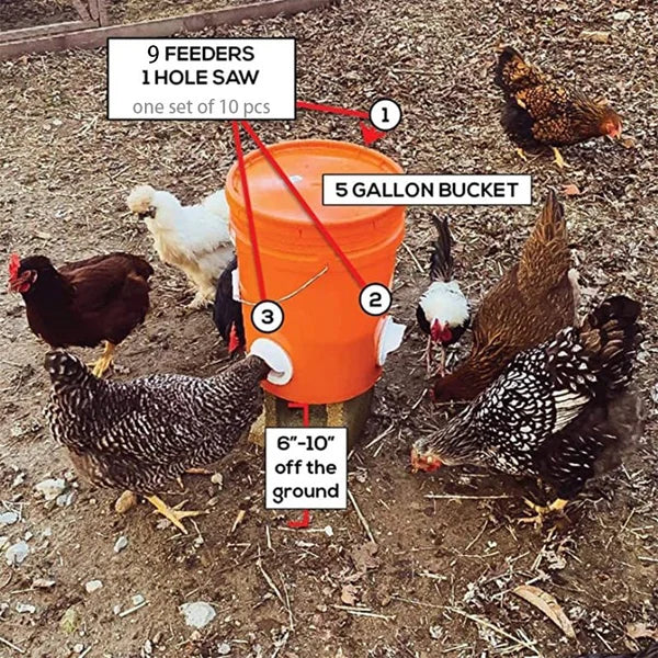 Radiantgrp -DIY CHICKEN FEEDER