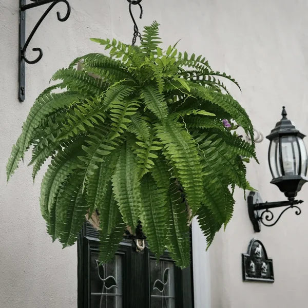 💥This Week's Special Price $19.99🌱Resistant Lifelike Artificial Boston Fern