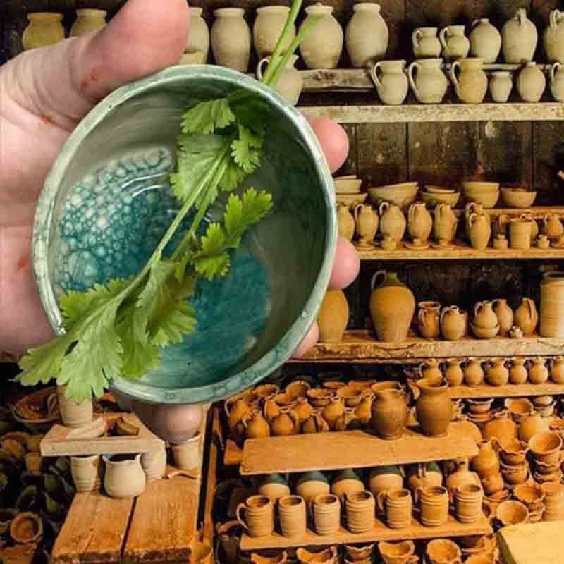 Pottery Herb Stripper