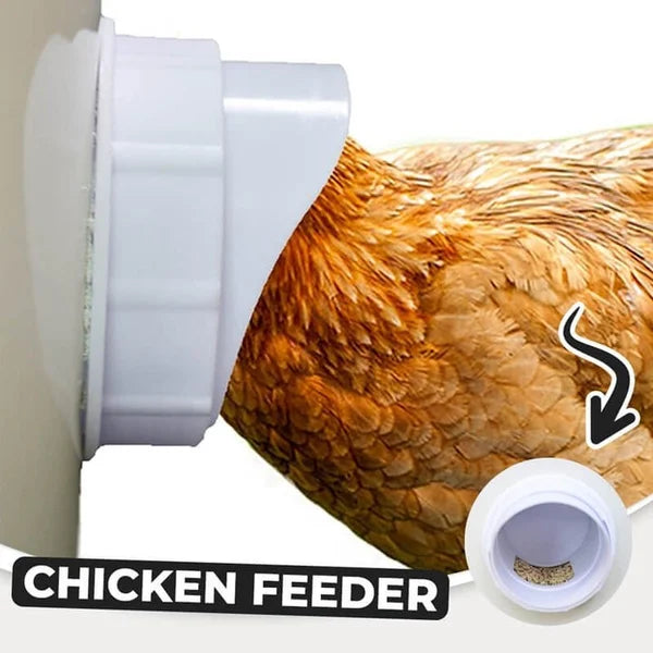 Radiantgrp -DIY CHICKEN FEEDER