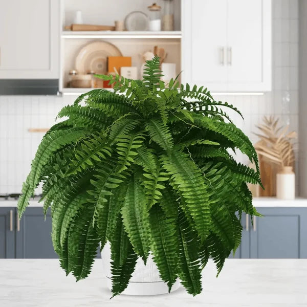 💥This Week's Special Price $19.99🌱Resistant Lifelike Artificial Boston Fern