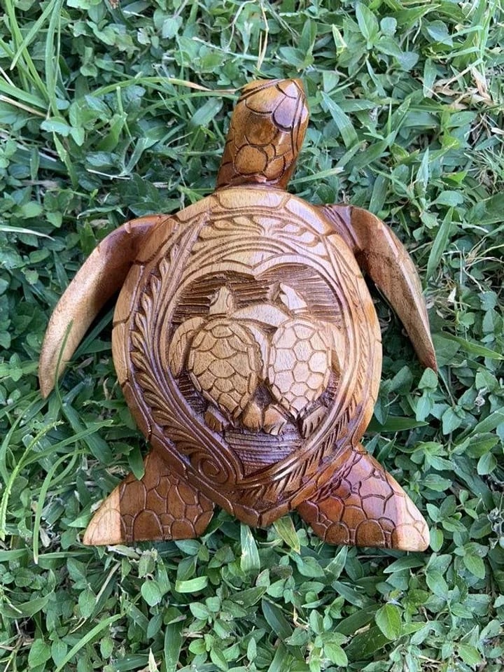 Hawaiian Turtle