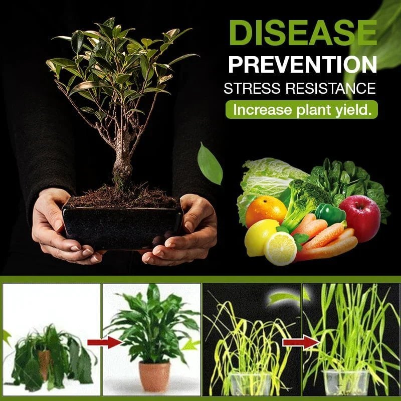 Radiantgrp - The treasure of soil revitalisation
