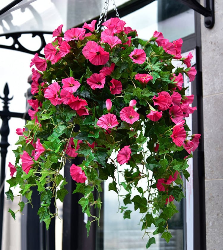 💥Special Price $16.98🌺Simulation Artificial Morning Glory