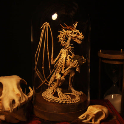 Radiantgrp - WENDIGO SKELETON CURIOSITY CABINET