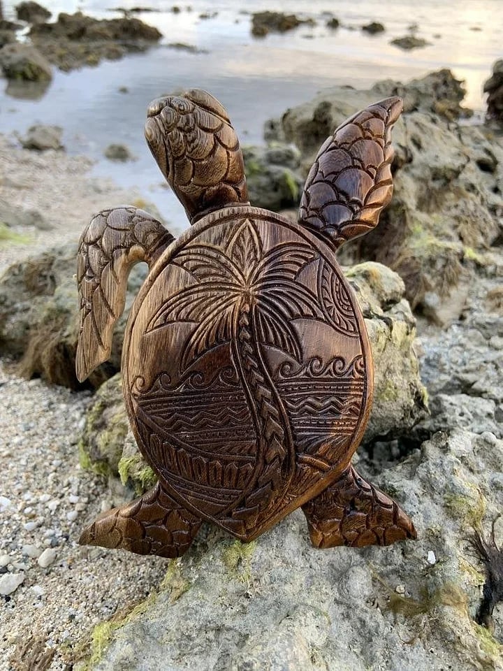 Hawaiian Turtle
