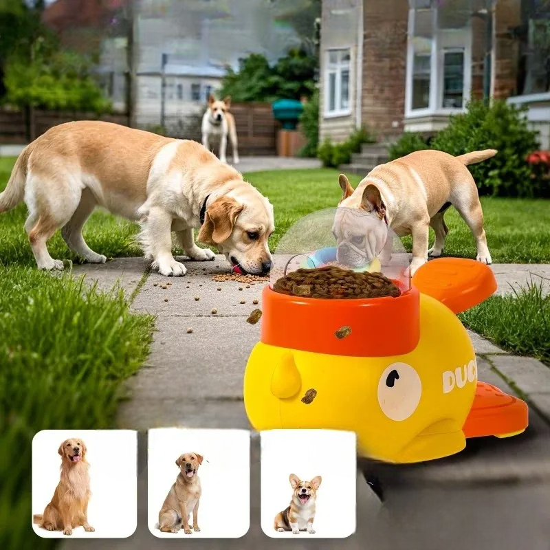 🔥This week's hot sale🔥dog and cat educational feeder toys