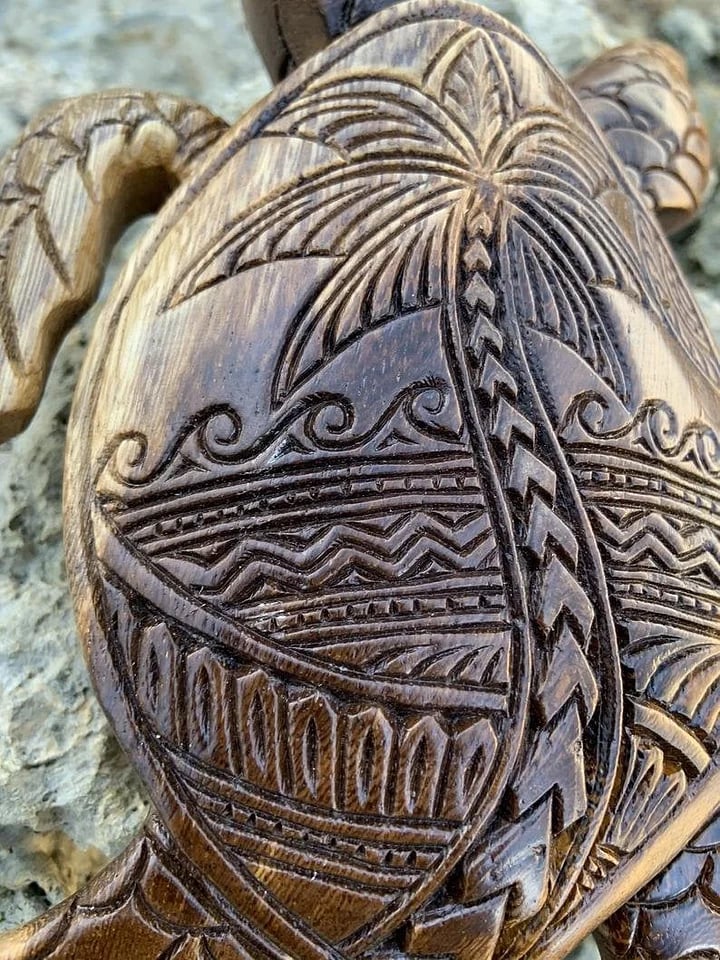 Hawaiian Turtle