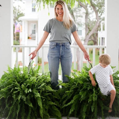 💥This Week's Special Price $19.99🌱Resistant Lifelike Artificial Boston Fern