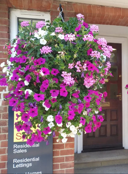 💥Special Price $16.98🌺Simulation Artificial Morning Glory
