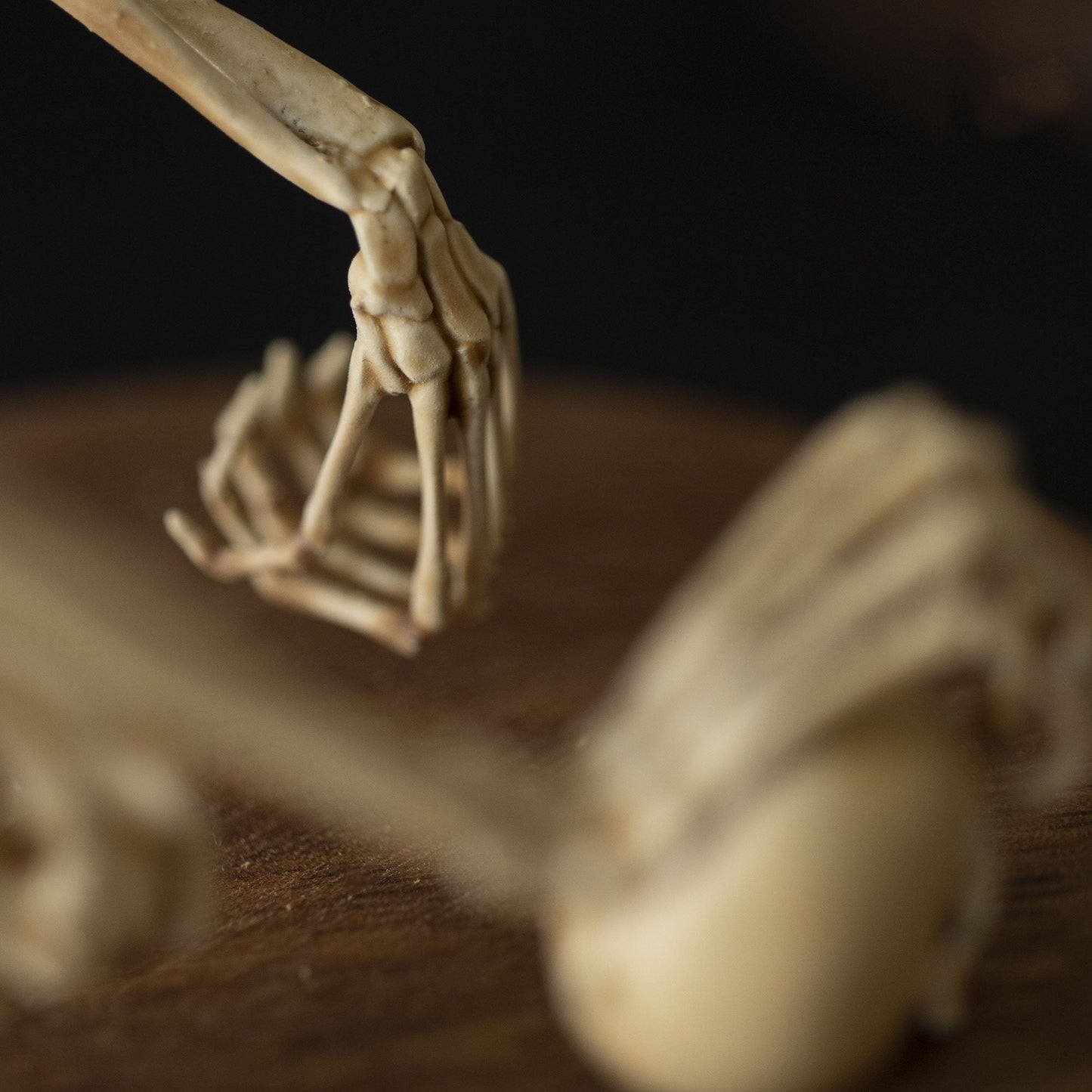 Radiantgrp - WENDIGO SKELETON CURIOSITY CABINET