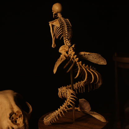 Radiantgrp - WENDIGO SKELETON CURIOSITY CABINET