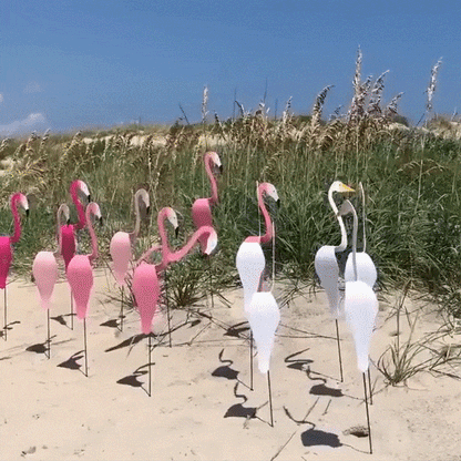 Swirl Bird-A Whimsical And Dynamic Bird That Spins With The Slight Garden Breeze