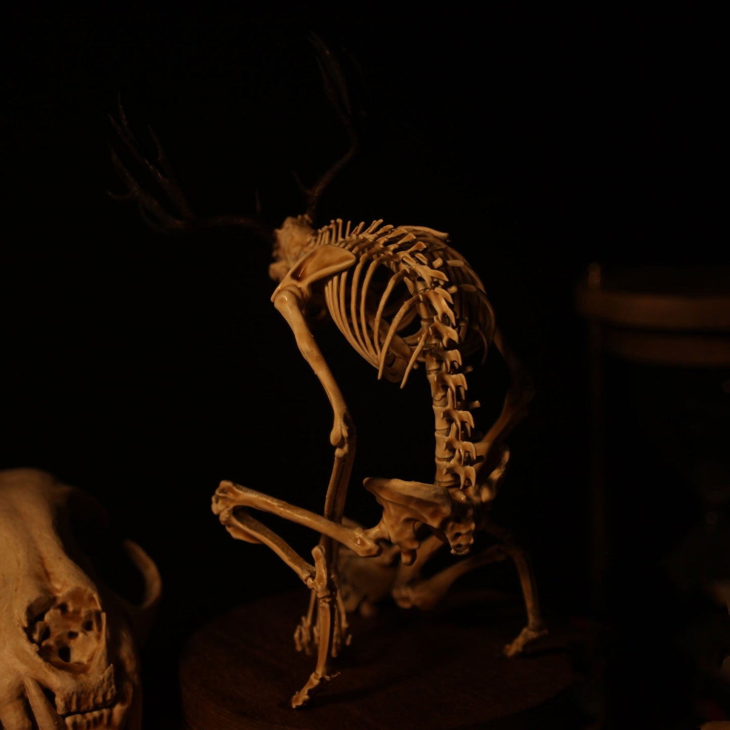 Radiantgrp - WENDIGO SKELETON CURIOSITY CABINET