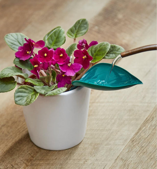 Watering Leaves(BUY 5 GET 5 FREE)