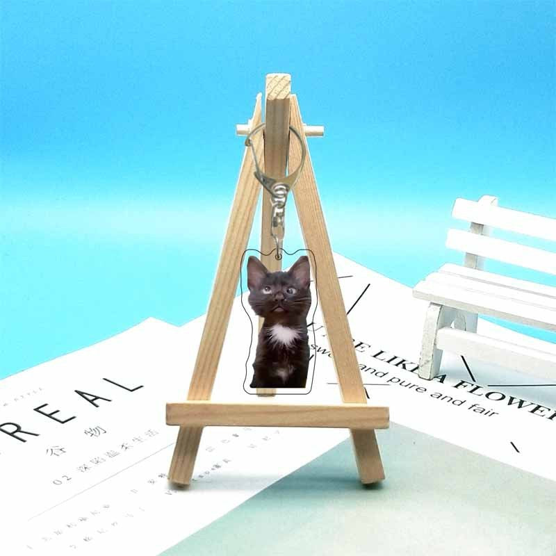 Cat abstract cute funny expression package acrylic keychain pendant