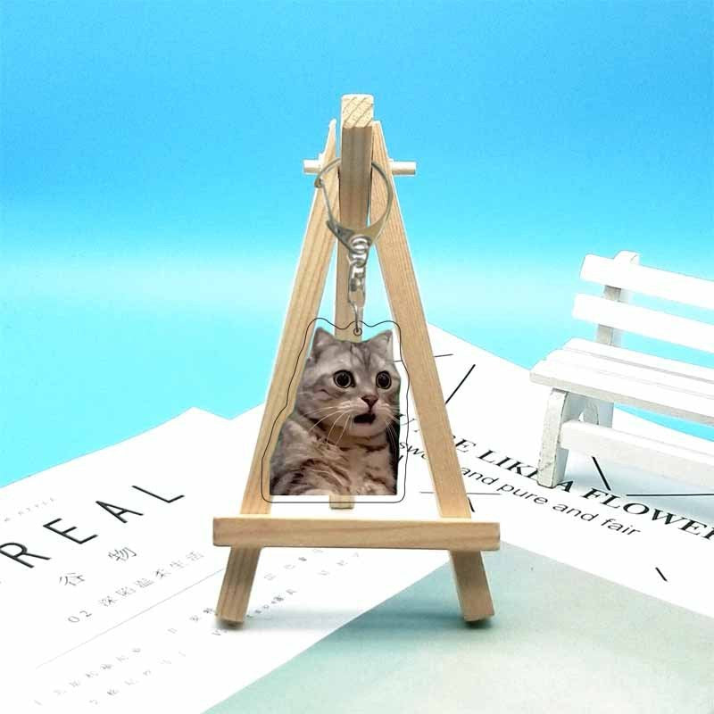 Cat abstract cute funny expression package acrylic keychain pendant