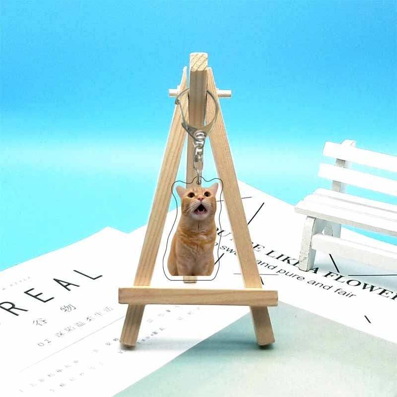 Cat abstract cute funny expression package acrylic keychain pendant