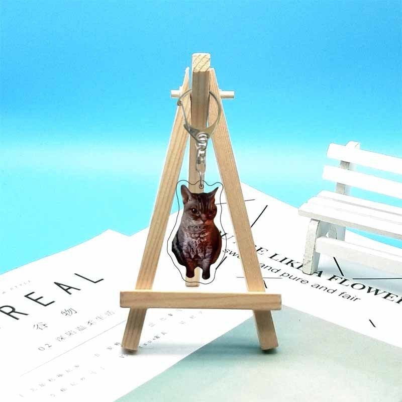 Cat abstract cute funny expression package acrylic keychain pendant