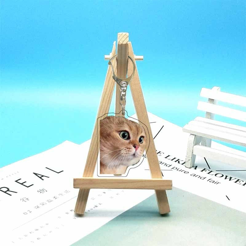 Cat abstract cute funny expression package acrylic keychain pendant