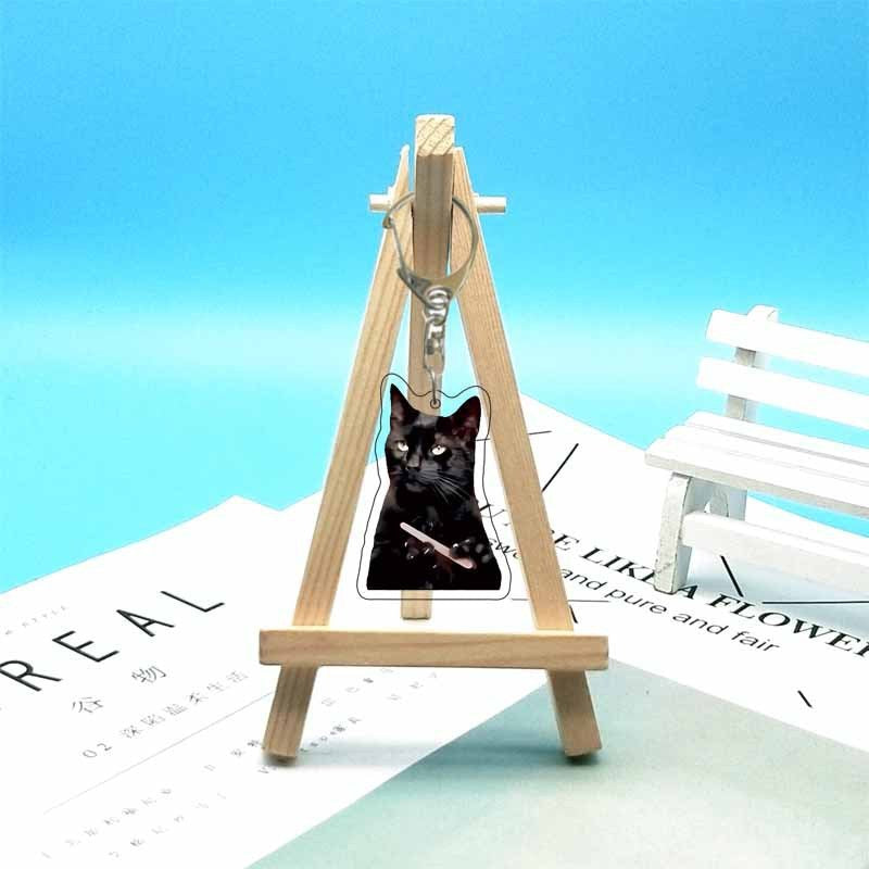 Cat abstract cute funny expression package acrylic keychain pendant