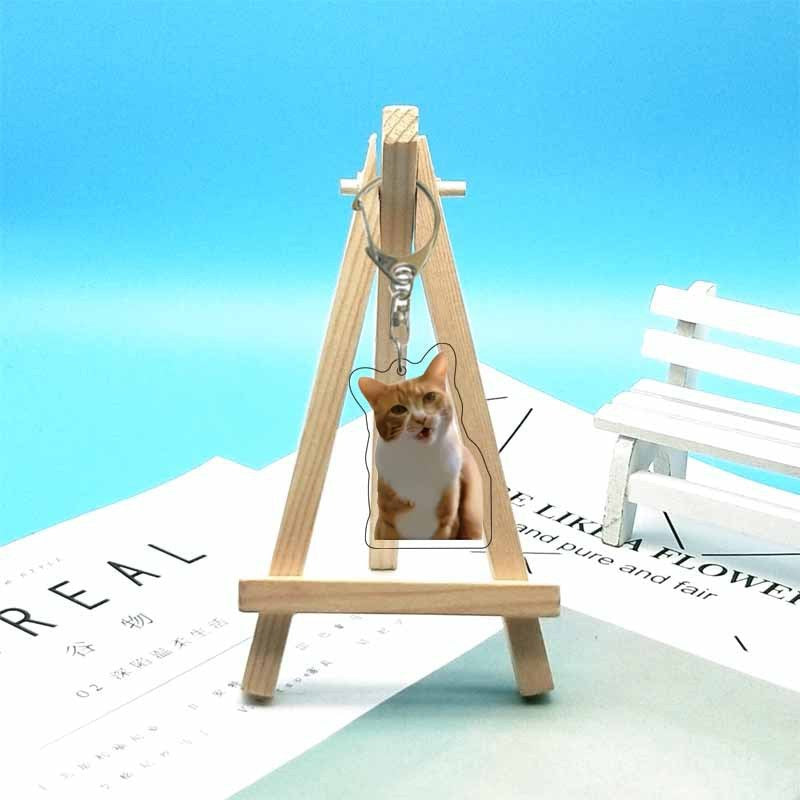 Cat abstract cute funny expression package acrylic keychain pendant