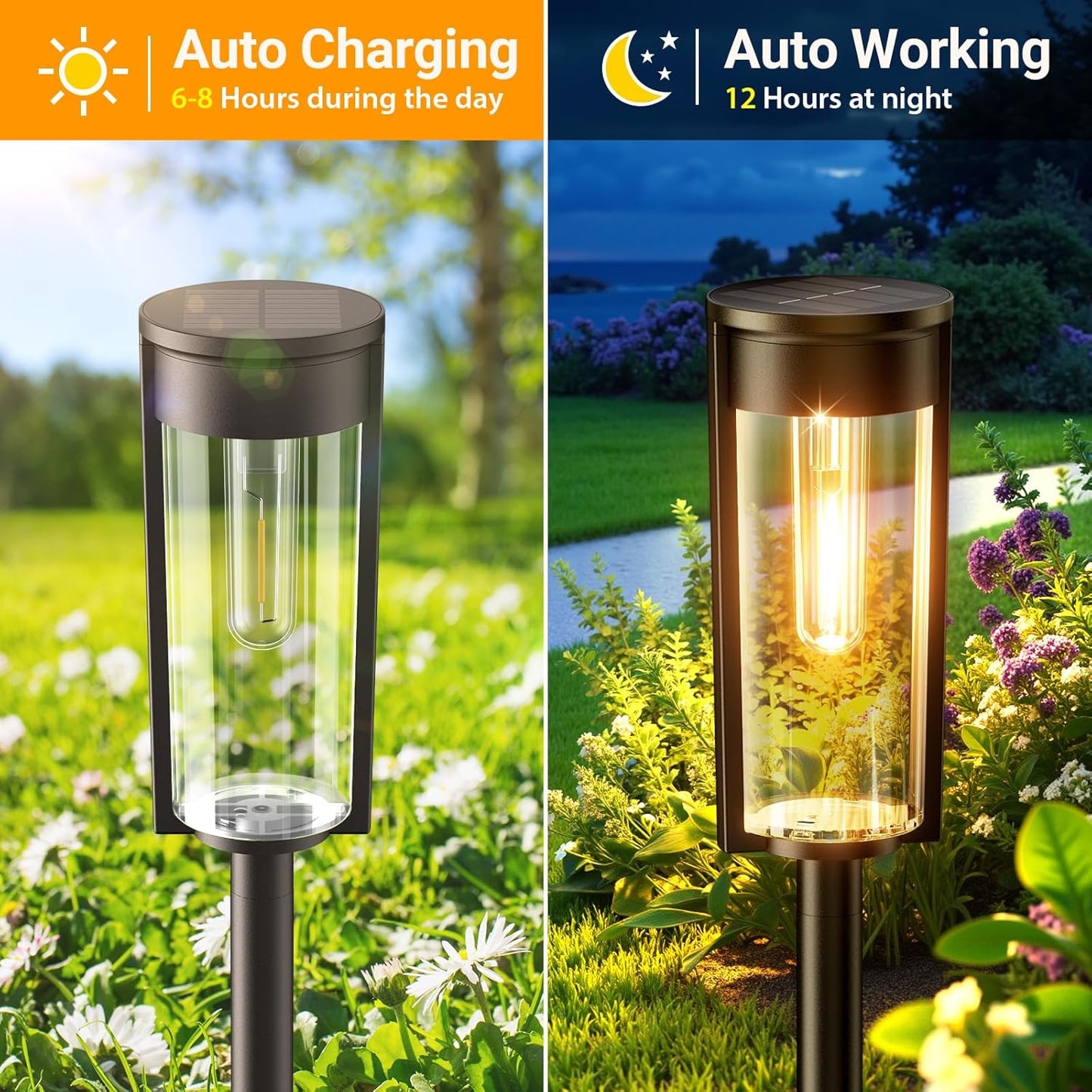 🔥Hot Sale 49% OFF✨Solar Pathway Lights