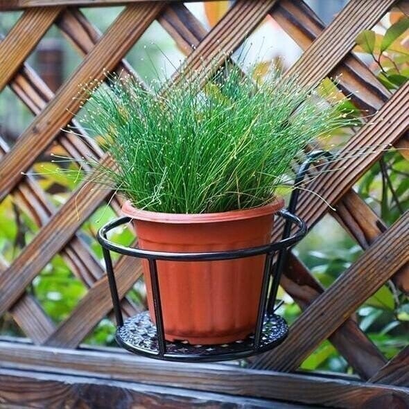 🌼Hanging flower stand (✨Buy more and save more, free shipping for five pieces✨)