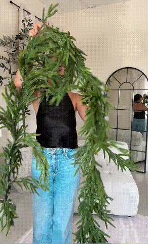 💥Deluxe Norfolk Pine Garland