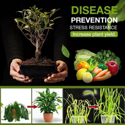 Radiantgrp - The treasure of soil revitalisation