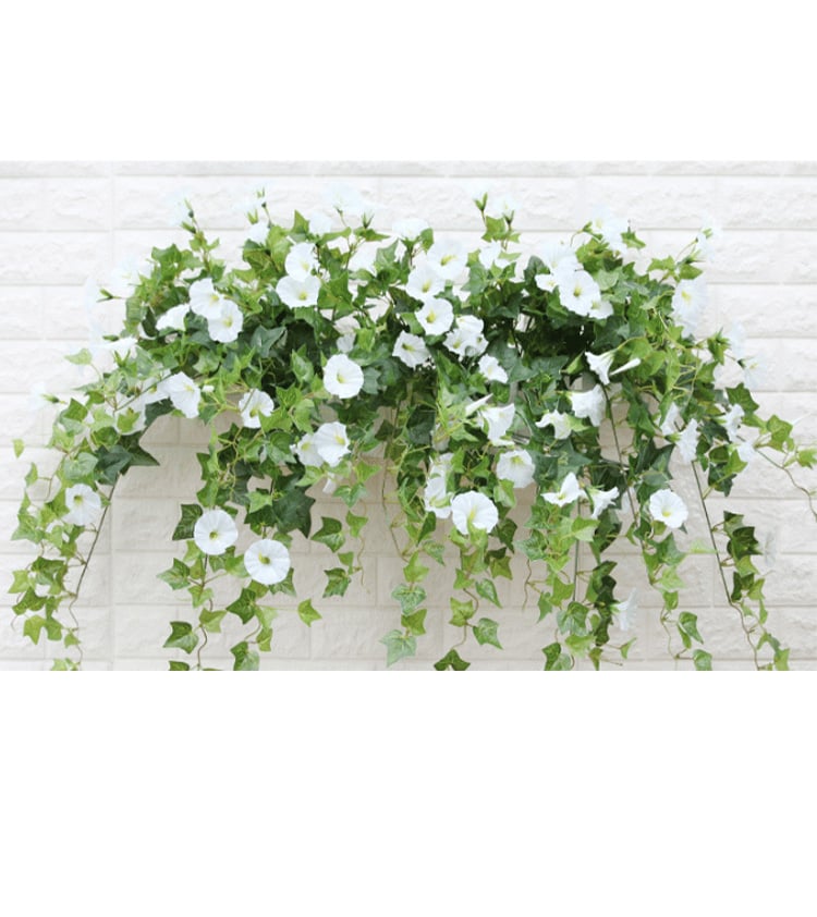 💥Special Price $16.98🌺Simulation Artificial Morning Glory