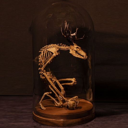 Radiantgrp - WENDIGO SKELETON CURIOSITY CABINET